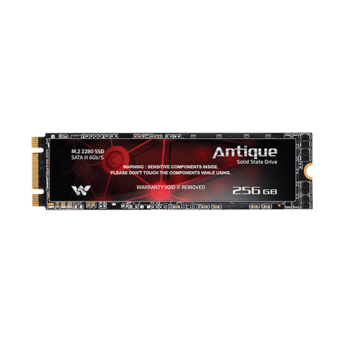 Walton Antique 256GB M.2 2280 SATA III 6Gbps SSD