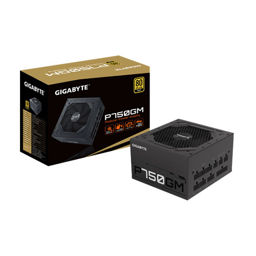 Gigabyte P750GM 750 Watt 80+ Gold Certified Power Supply