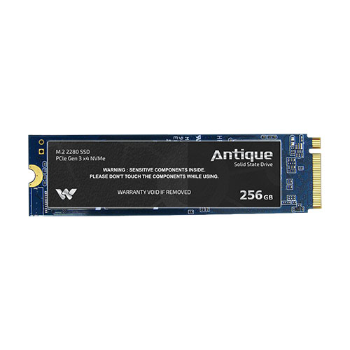 Walton WSD228PX4256 256GB NVMe M.2 SSD