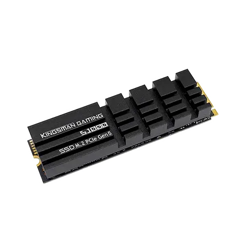 AITC KINGSMAN S1000 4TB M.2 2280 PCIe Gen5x4 NVMe 2.0 SSD With DRAM & Heatshink