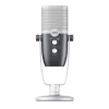 AKG Ara C22 Professional Two-Pattern USB Condenser Microphone