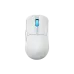 ASUS ROG P716 Harpe Ace Mini Ultralight Wireless Gaming Mouse