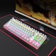 BAJEAL K100 TKL RGB Mechanical Gaming Keyboard (White)