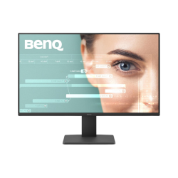 BenQ GW2491 23.8” 1080p FHD 100Hz IPS Eye-Care Monitor