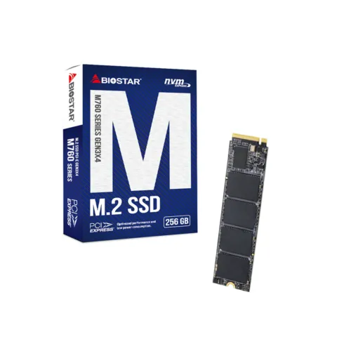 Biostar M760 256GB M.2 NVMe SSD