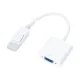 Yuanxin YDP-013 DisplayPort Male to VGA Female Converter