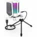 FIFINE AmpliGame A6T RGB USB Condenser Microphone With Boom Arm