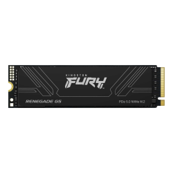 Kingston Fury Renegade G5 1024GB NVMe SSD