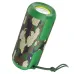 Hoco BS48 Artistic Sports Wireless Speaker