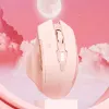 Inphic F8 Rechargeable Wireless Mouse