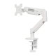 Lenovo Services AM210 GR Single Monitor Arm