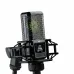 Lewitt RAY Large-Diaphragm Condenser Microphone