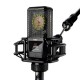 Lewitt RAY Large-Diaphragm Condenser Microphone