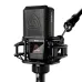 Lewitt RAY Large-Diaphragm Condenser Microphone