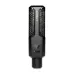 Lewitt RAY Large-Diaphragm Condenser Microphone