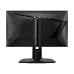MSI MAG 255PXF 24.5" 300Hz IPS FHD Gaming Monitor