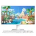 MSI PRO MP251W E2 24.5" 120Hz IPS FHD Monitor