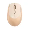 Micropack MS-201W (Dual Mode) Mouse