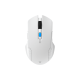 Fantech WG12RS RAIGOR III 2000dpi Macro Button Wireless Gaming Mouse (White)