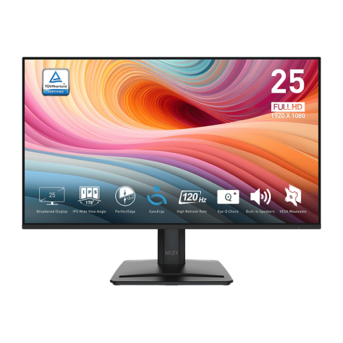 MSI PRO MP251 E2 24.5" 120Hz IPS FHD Monitor