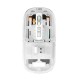 Pc Power PGM-P4 RGB Wireless (Dual Mode) Transparent Mouse
