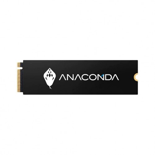 Anacomda I2 Fiery Serpent M.2 128GB Nvme SSD