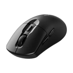Rapoo M306 Wireless Optical Mouse