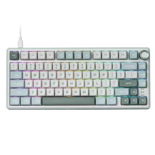 Royal Kludge RK R75 Wired RGB Hot Swap Mechanical Gaming Keyboard