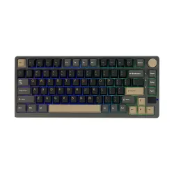 Royal Kludge RK M75 Tri Mode RGB Hot Swap Mechanical Gaming Keyboard
