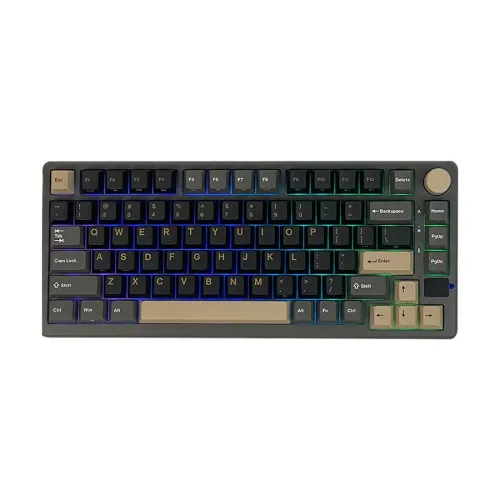 Royal Kludge RK M75 Tri Mode RGB Hot Swap Mechanical Gaming Keyboard