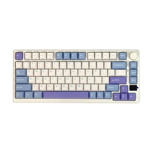 Royal Kludge RK M75 Tri Mode RGB Hot Swap Mechanical Gaming Keyboard