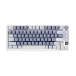 Royal Kludge RK M75 Tri Mode RGB Hot Swap Mechanical Gaming Keyboard
