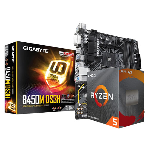 Ryzen 5 4600G With Gigabyte B450M DS3H Combo