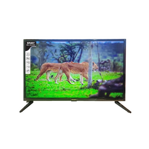 Smart SEL-24L22KS 24 inch Basic LED TV