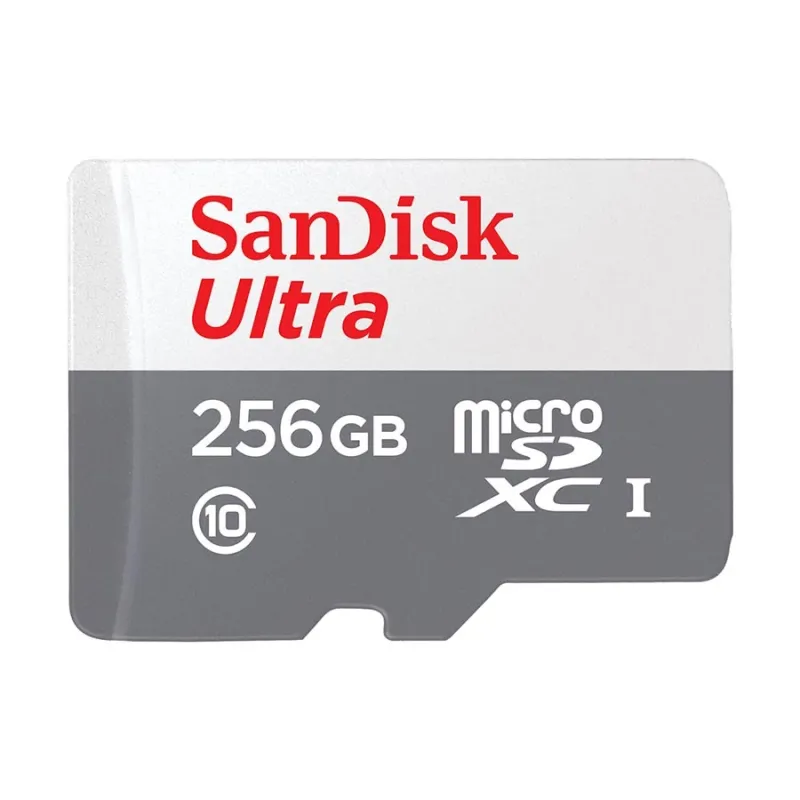 SanDisk Ultra 256GB Class-10 100mbps Micro SDXC UHS-I Memory Card (SDSQUNR-256G-GN3MN)