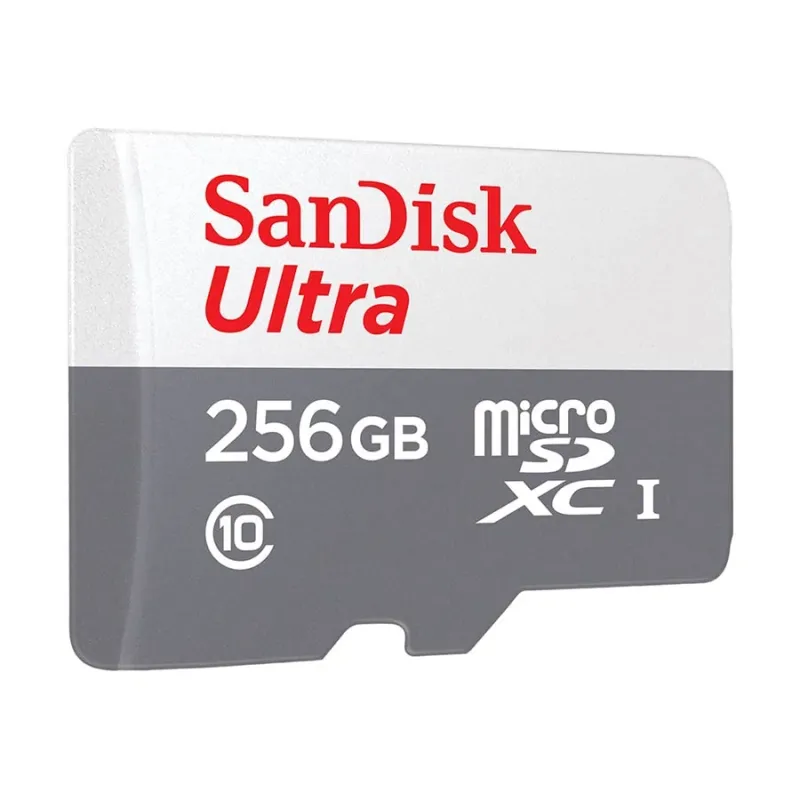 SanDisk Ultra 256GB Class-10 100mbps Micro SDXC UHS-I Memory Card (SDSQUNR-256G-GN3MN)