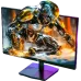 Titan Army P2510G2 24.5 Inch 200Hz 1ms Full HD Fast IPS Monitor 