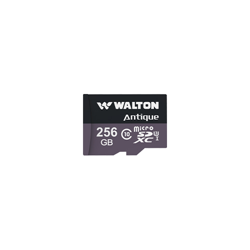 Walton 256 GB Memory Card (WSD25601)