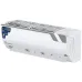Walton 2 Ton Inverter AC