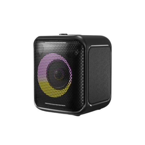 F&D AUDIO PA100 BLUETOOTH PARTY SPEAKER