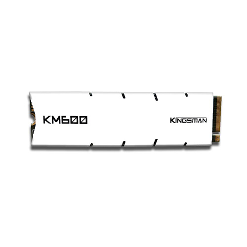AITC KINGSMAN KM600 256GB m.2 NVMe PCIe SSD