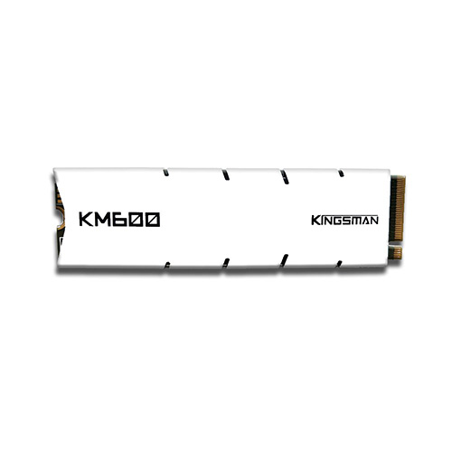 AITC KINGSMAN KM600 1TB M.2 NVMe PCIe SSD