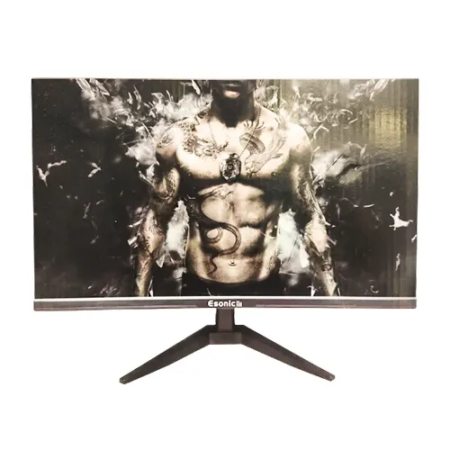 Esonic 22ELMW 22 Inch Wide Screen LED HD Monitor Esonic 22ELMW 22 Inch Wide Screen LED HD Monitor