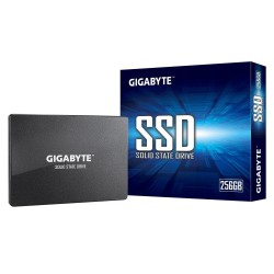 GIGABYTE 256GB 2.5