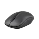 PROLiNK PMW5010 2.4GHz Wireless Nano Optical Mouse