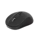 PROLiNK PMW6008 2.4GHz Wireless Nano Optical Mouse