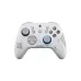 Thunderobot G50s Tri Mode Hall Trigger and Hall Effect Gamepad