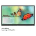 Epson EI-P7501 75" 4K UHD Interactive Flat Panel Display