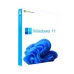 Microsoft Windows 11 Professional Legalization (GGWA) Commercial