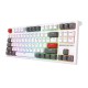 Royal Kludge RK R87 Wired TKL RGB Hot-Swappable Gaming Keyboard